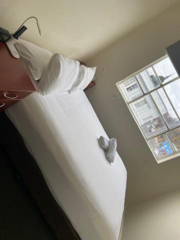 בתהרסט Knickerbocker Hotel מראה חיצוני תמונה